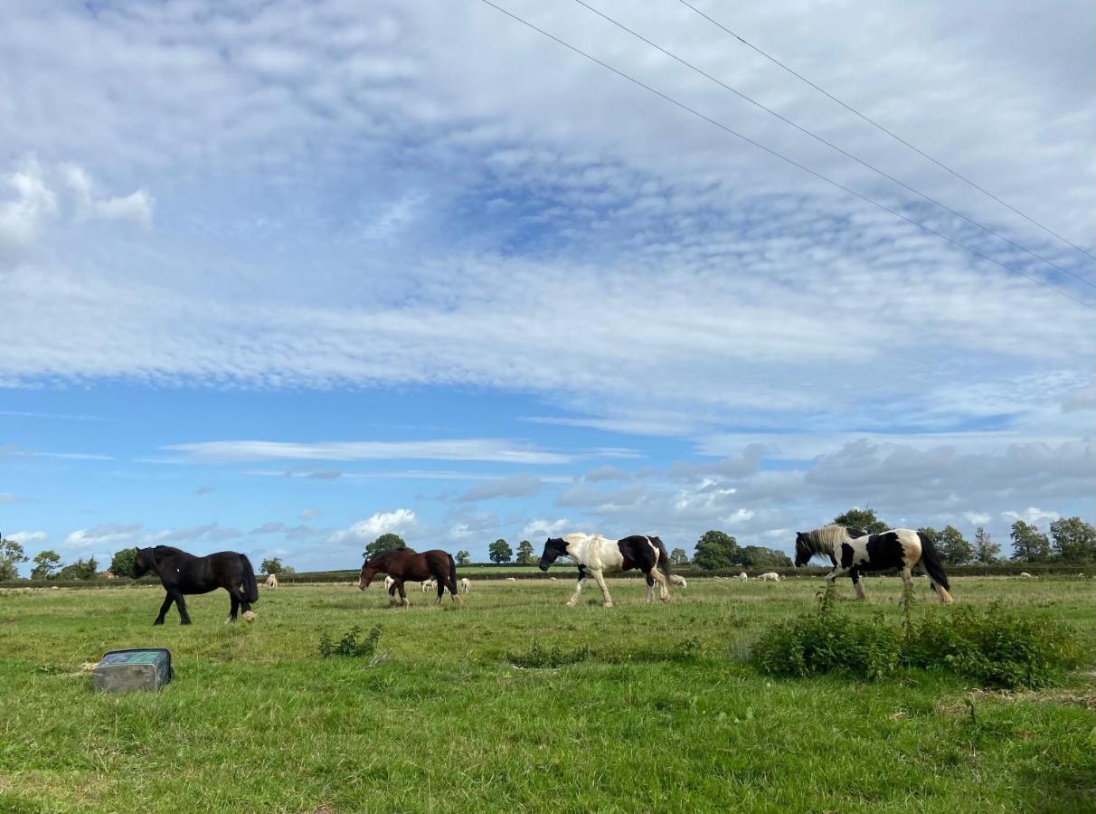 Tupenny Cottage, Old Mill Farm, Cotswold Water Park サイレンセスター エクステリア 写真