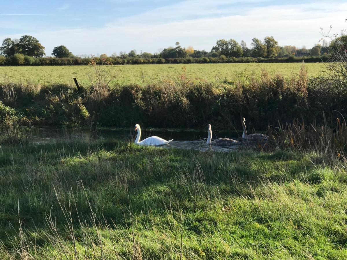 Tupenny Cottage, Old Mill Farm, Cotswold Water Park サイレンセスター エクステリア 写真